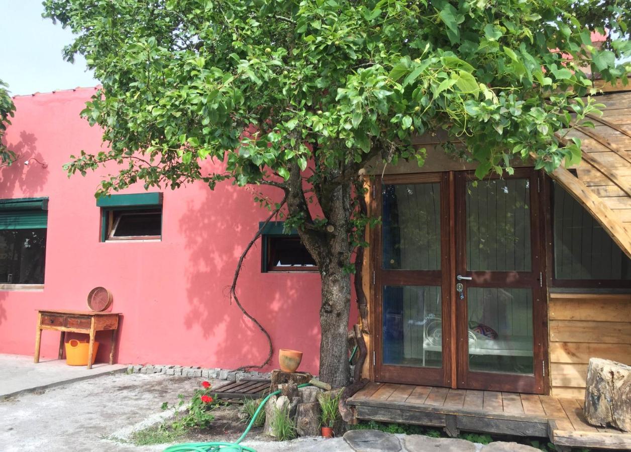 Вилла Maceda Surf Camp Экстерьер фото